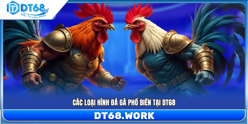 Những hình thức đá gà được yêu thích nhất tại DT 68