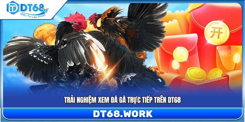 Trải nghiệm xem đá gà trực tuyến mượt mà 