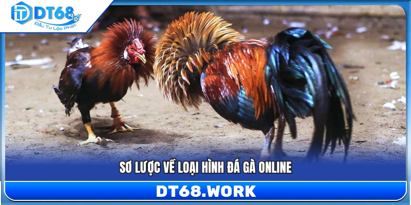 Giới thiệu bao quát về kinh nghiệm xem đá gà trực tuyến
