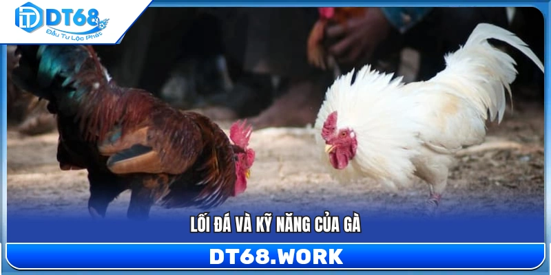 Phân tích lối đánh và kỹ năng của từng chiến kê