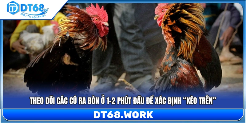 Quan sát các đòn đánh 1–2 phút đầu để nhận diện kèo mạnh